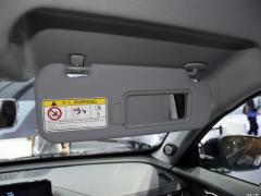 MHEV 230TCI CVT Pride Edition 2021 года 2021 MHEV 230TCI CVT Pride Edition Фото 292 из 386