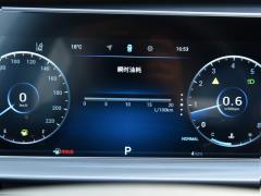 2021 год 290TGDI DCT Premium Edition 2021 290TGDI DCT Premium Edition Фото 126 из 453