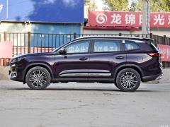 2021 год 290TGDI DCT pride edition 2021 290TGDI DCT pride edition Фото 11 из 159