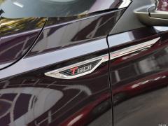 2021 год 290TGDI DCT pride edition 2021 290TGDI DCT pride edition Фото 43 из 159