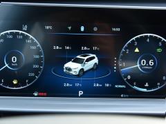 2021 год 290TGDI DCT Premium Edition 2021 290TGDI DCT Premium Edition Фото 127 из 453