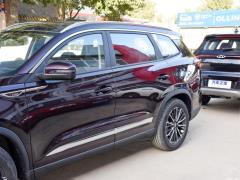2021 год 290TGDI DCT pride edition 2021 290TGDI DCT pride edition Фото 44 из 159