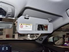MHEV 230TCI CVT Pride Edition 2021 года 2021 MHEV 230TCI CVT Pride Edition Фото 247 из 386