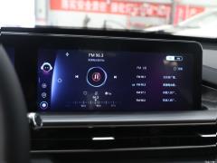 2021 290TGDI DCT Premium Edition 6-местный 2021 290TGDI DCT Premium Edition 6-seater Фото 97 из 453