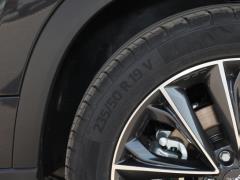 2021 290TGDI DCT Premium Edition 6-местный 2021 290TGDI DCT Premium Edition 6-seater Фото 45 из 119