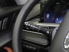 2021 290TGDI DCT Premium Edition 6-местный 2021 290TGDI DCT Premium Edition 6-seater Фото 80 из 453