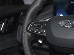 2021 290TGDI DCT Роскошное издание 2021 290TGDI DCT Luxury Edition Фото 99 из 386