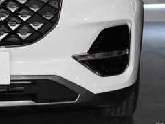 2021 290TGDI DCT Роскошное издание 2021 290TGDI DCT Luxury Edition Фото 184 из 272