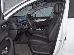 2021 290TGDI DCT Роскошное издание 2021 290TGDI DCT Luxury Edition Фото 296 из 386