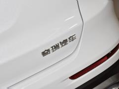 MHEV 230TCI CVT Pride Edition 2021 года 2021 MHEV 230TCI CVT Pride Edition Фото 160 из 272