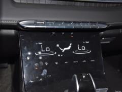 2021 290TGDI DCT Роскошное издание 2021 290TGDI DCT Luxury Edition Фото 116 из 386