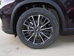 2021 год 290TGDI DCT pride edition 2021 290TGDI DCT pride edition Фото 38 из 159