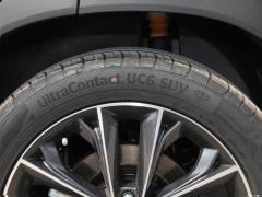 2021 290TGDI DCT Premium Edition 6-местный 2021 290TGDI DCT Premium Edition 6-seater Фото 41 из 119