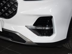 2021 290TGDI DCT Роскошное издание 2021 290TGDI DCT Luxury Edition Фото 186 из 272
