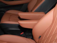 2021 290TGDI DCT Premium Edition 6-местный 2021 290TGDI DCT Premium Edition 6-seater Фото 321 из 453