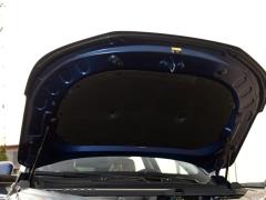 2021 год 290TGDI DCT Premium Edition 2021 290TGDI DCT Premium Edition Фото 13 из 61