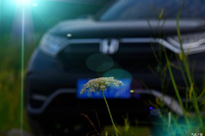 Honda CR-V (RW)