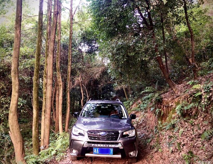 Subaru Forester (SK/S14)