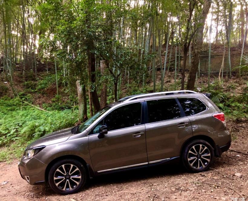 Subaru Forester (SK/S14)