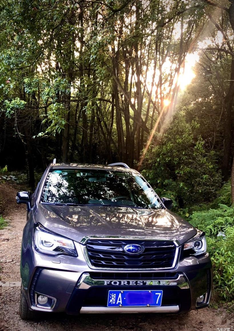 Subaru Forester (SK/S14)