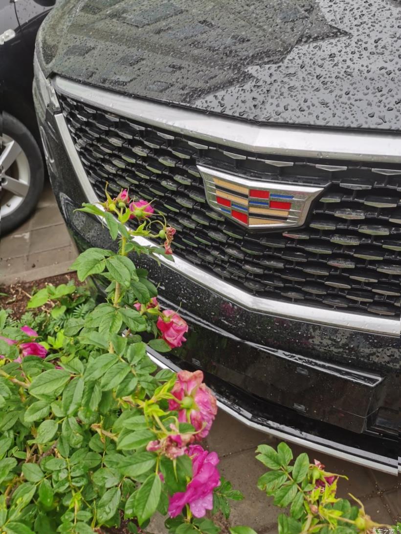 Cadillac XT6 (C1TL)