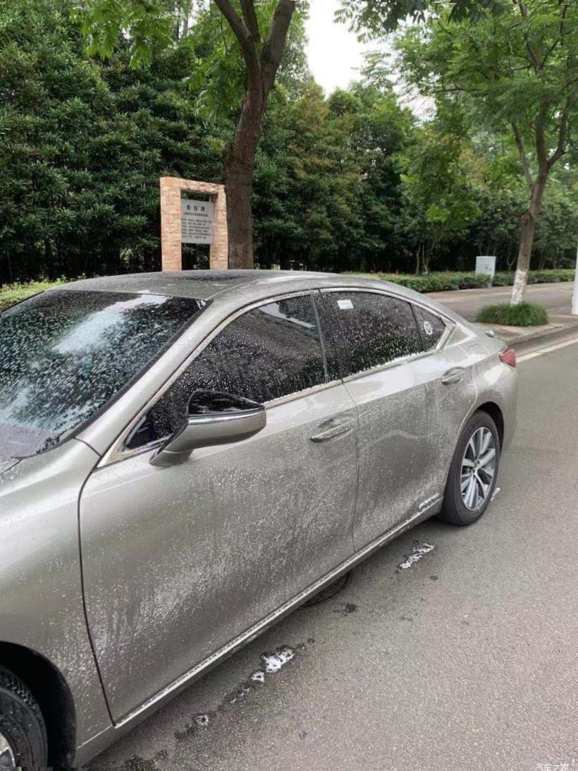Lexus ES350 (XV70)