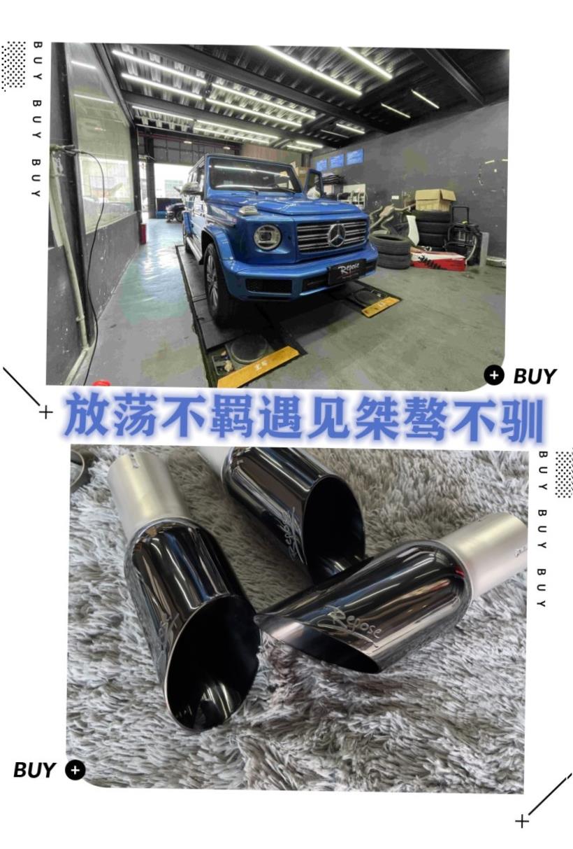 Mercedes-Benz G-Class (W463)