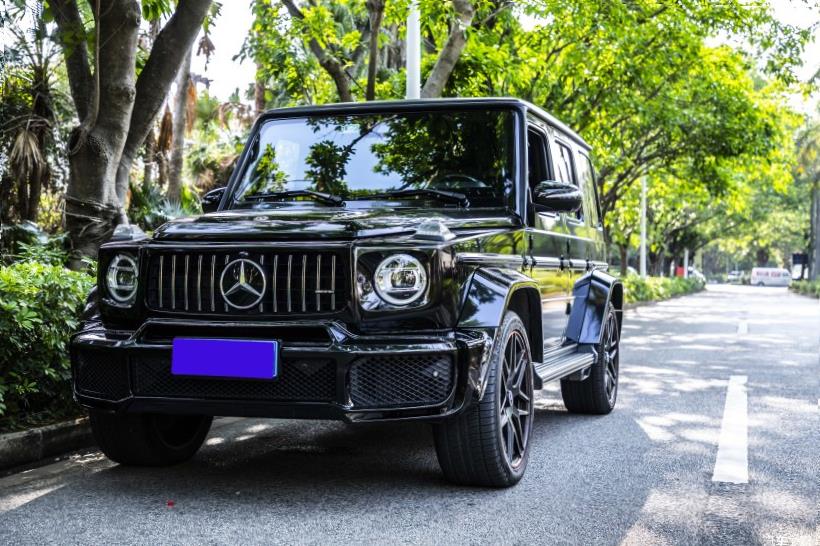 Mercedes-Benz G-Class (W463)