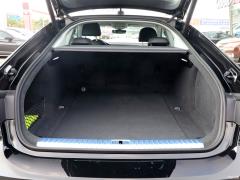 2021 модель 40 TFSI люкс 2021 model 40 TFSI luxury Фото 281 из 323