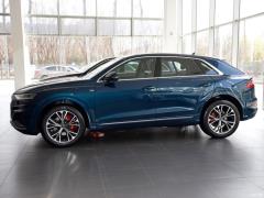 2021 55 TFSI Выбранный динамический тип 2021 55 TFSI Selected Dynamic Type Фото 4 из 43