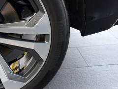 2021 55 TFSI эксклюзивный динамический тип 2021 55 TFSI exclusive dynamic type Фото 217 из 312