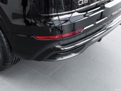 2021 55 TFSI эксклюзивный динамический тип 2021 55 TFSI exclusive dynamic type Фото 222 из 312