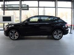 2021 55 TFSI эксклюзивный динамический тип 2021 55 TFSI exclusive dynamic type Фото 18 из 312