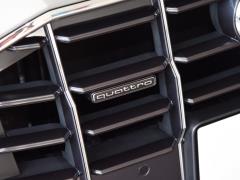 2021 55 TFSI роскошный динамический тип 2021 55 TFSI luxury dynamic type Фото 16 из 59