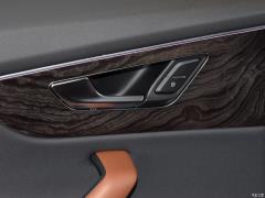 2021 55 TFSI роскошный динамический тип 2021 55 TFSI luxury dynamic type Фото 30 из 45