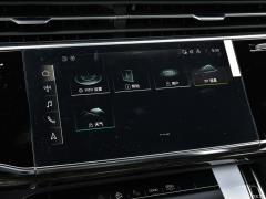 2021 55 TFSI Выбранный динамический тип 2021 55 TFSI Selected Dynamic Type Фото 34 из 597
