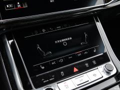2021 55 TFSI Выбранный динамический тип 2021 55 TFSI Selected Dynamic Type Фото 37 из 597