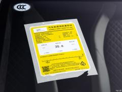 2021 V10 Coupe Performance Коллекционное издание 2021 V10 Coupe performance Collector's Edition Фото 19 из 86