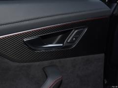 2021 RS Q8 4.0T Premium Edition 2021 RS Q8 4.0T Premium Edition Фото 55 из 86