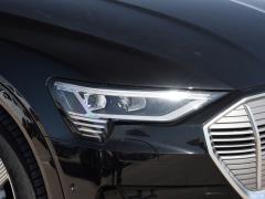 Модель 55 quattro 2019 года 2019 55 quattro fashion model Фото 11 из 47