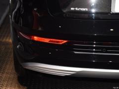 Модель 55 quattro 2019 года 2019 55 quattro fashion model Фото 38 из 45