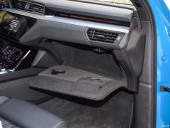 55 quattro Global Limited Edition 1 2019 года 2019 55 quattro Global Limited Edition Edition 1 Фото 333 из 334