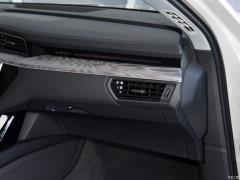 Модель 55 quattro 2019 года 2019 55 quattro fashion model Фото 39 из 334