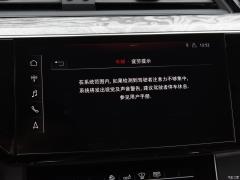 Эксклюзив 55 quattro 2019 года 2019 55 quattro exclusive Фото 63 из 214