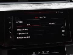Эксклюзив 55 quattro 2019 года 2019 55 quattro exclusive Фото 69 из 214