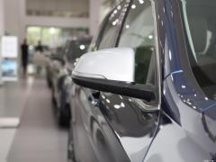 2021 рестайлинг xDrive25Li эксклюзив 2021 facelift xDrive25Li exclusive Фото 23 из 134