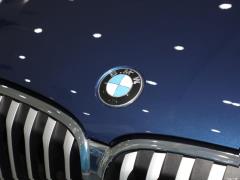 2021 рестайлинг xDrive25Li эксклюзив 2021 facelift xDrive25Li exclusive Фото 29 из 134