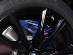 Коллекция xDrive M50i Faye 2020 года 2020 xDrive M50i Faye Collection Edition Фото 30 из 50