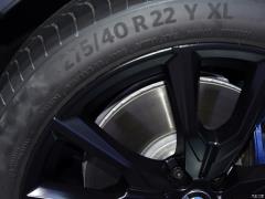 Коллекция xDrive M50i Faye 2020 года 2020 xDrive M50i Faye Collection Edition Фото 29 из 50