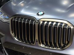Коллекция xDrive M50i Faye 2020 года 2020 xDrive M50i Faye Collection Edition Фото 17 из 50